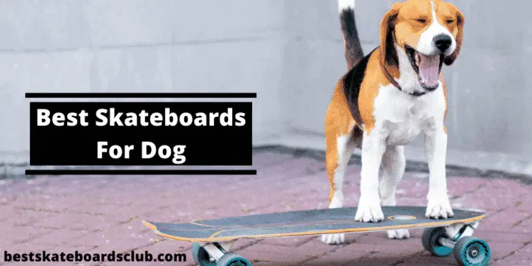 Top 5 Best Skateboard For Dogs 2021 | Buying Guide